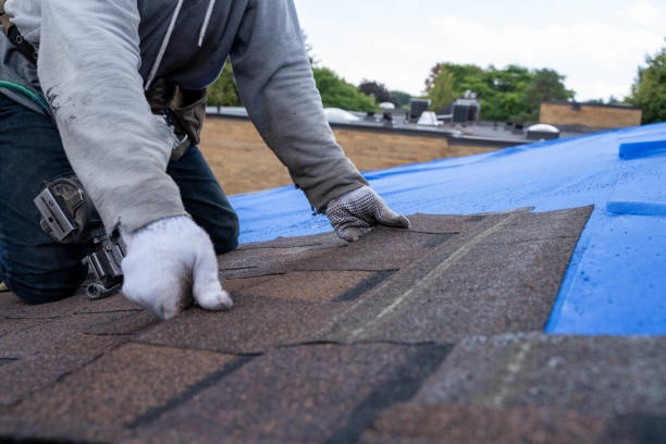 Best Shingle Roofing Installation  in Live Oak, CA